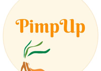 Campagne Influence – PimpUp