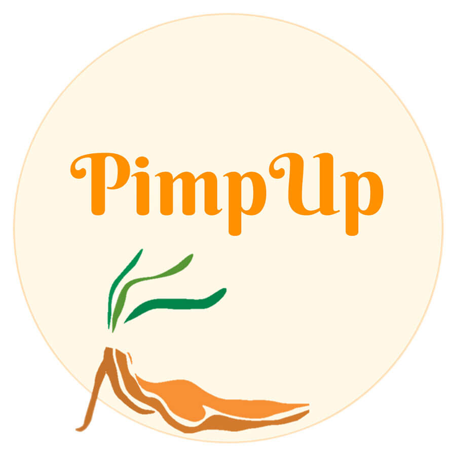 Logo Pim Up